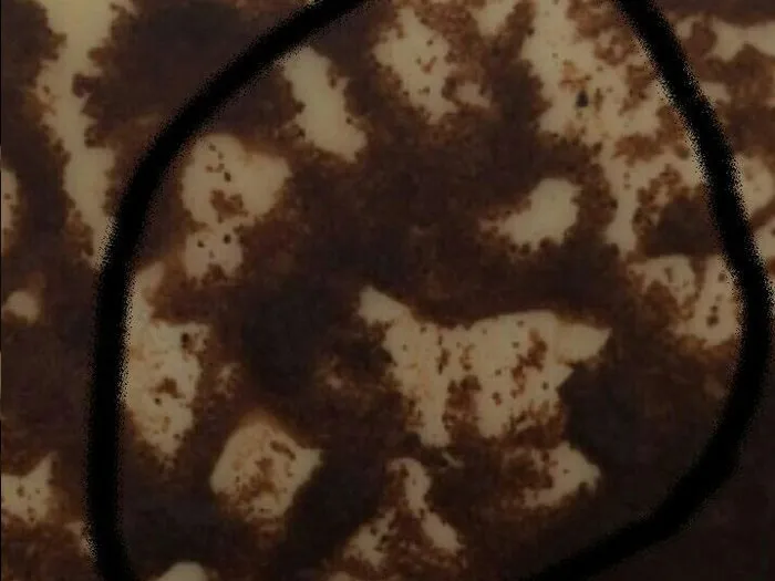 Запись на прием к гадалке в Щербинке